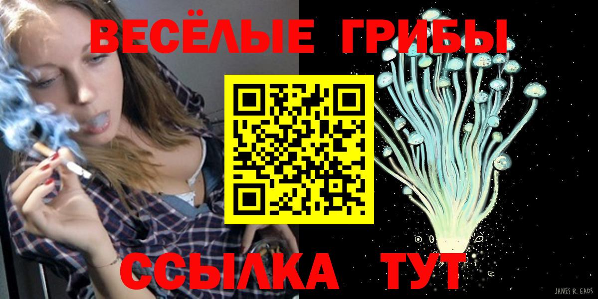 Псилоцибиновые грибы мицелий  Псилоцибиновые грибы Psilocybe  Кудрово  Вход с VPN 
